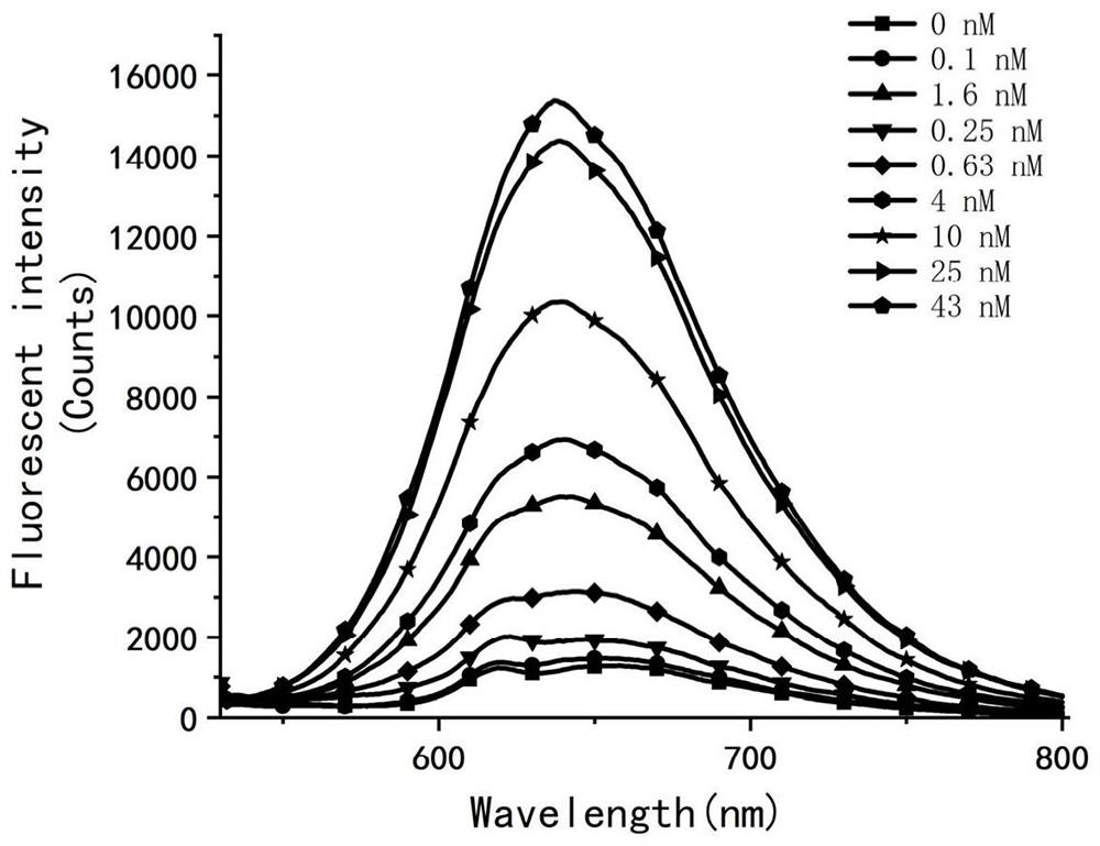 Chelating type zinc ion fluorescent probe as well as preparation method and biological application thereof