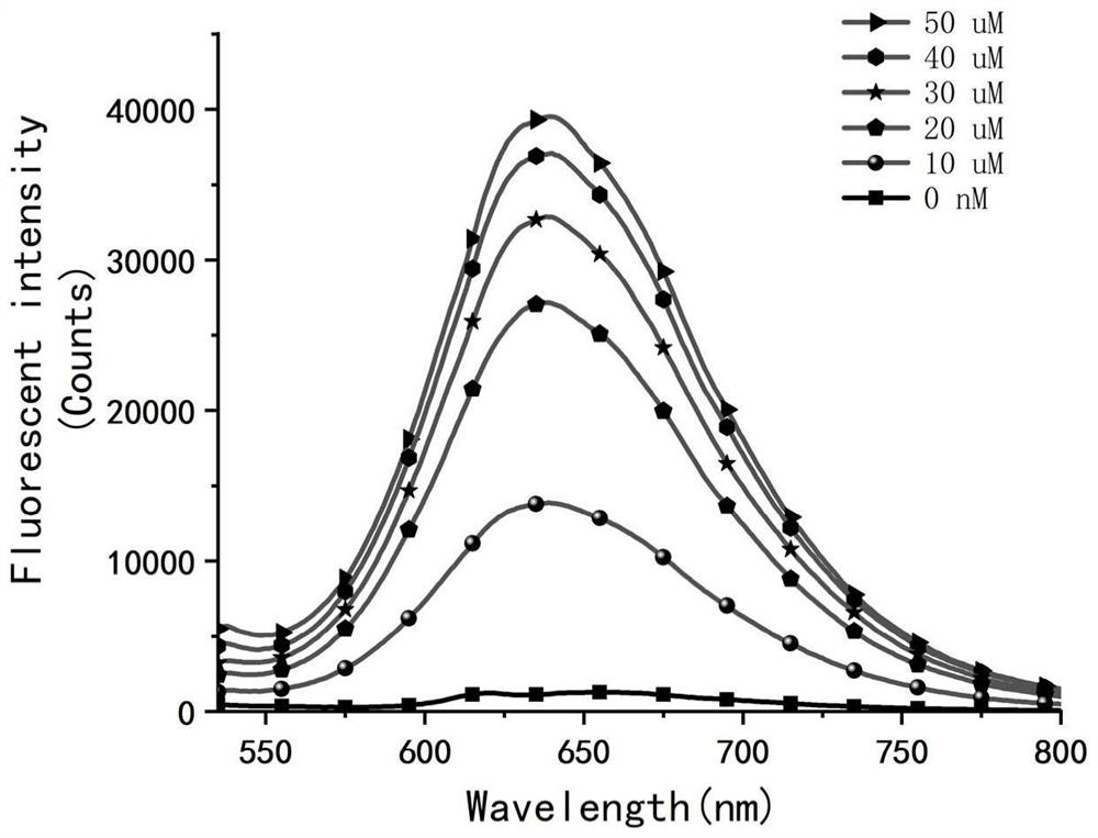 Chelating type zinc ion fluorescent probe as well as preparation method and biological application thereof