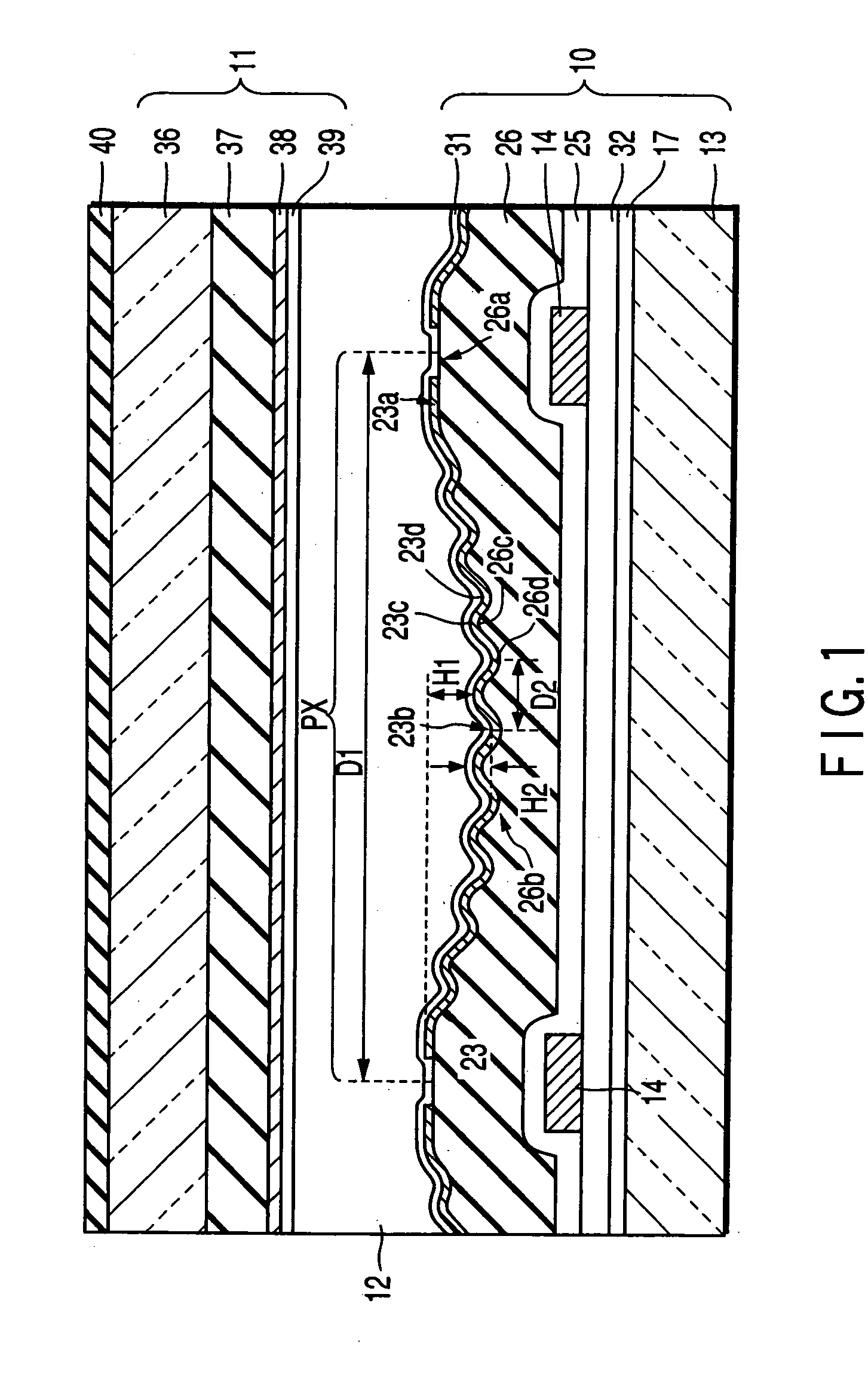 Reflective LCD comprising reflective surface including convex portions whose elevation varying cycles is greater than pitch of convex portions