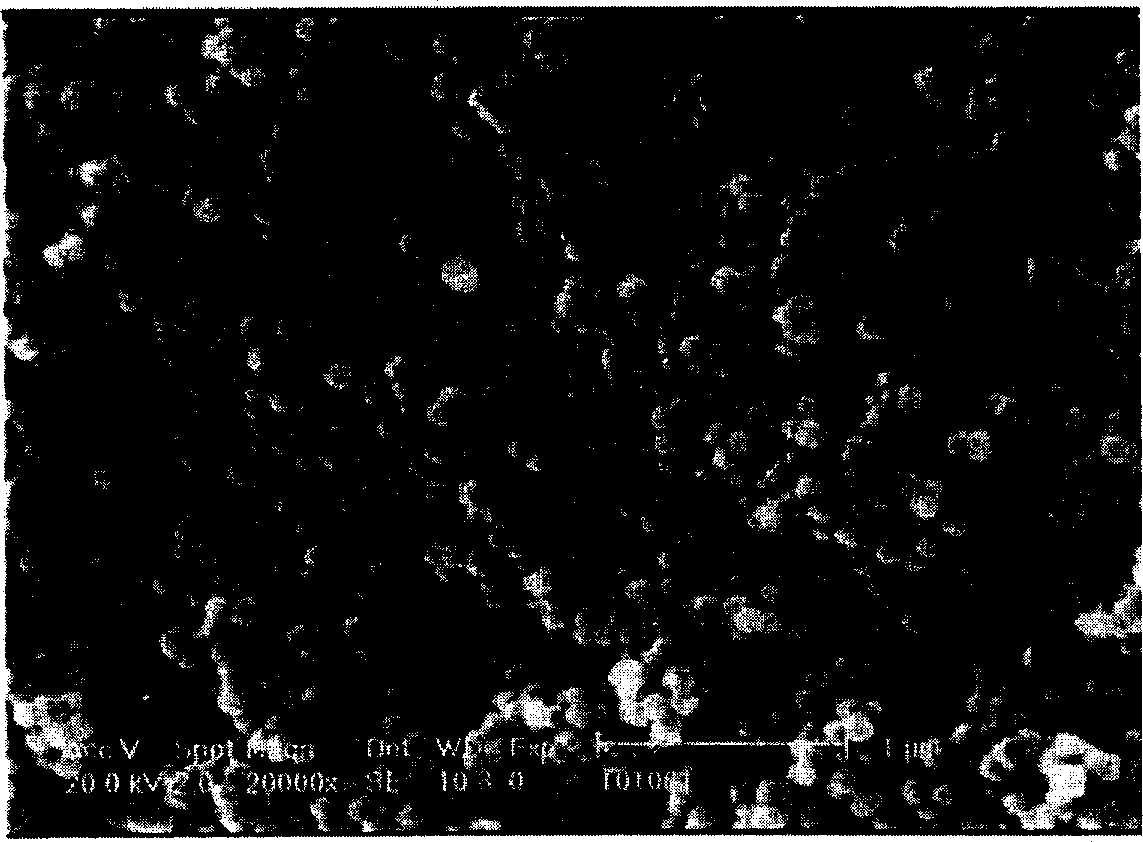 Nanometer grade tetragonal-phase barium titanate powder and its prepn.