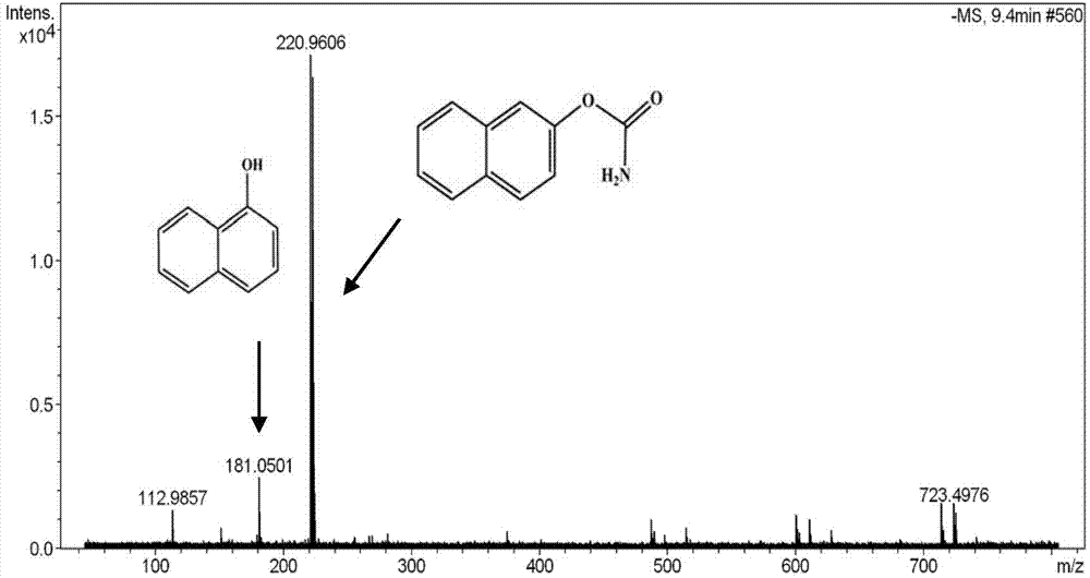 Ionic liquid regulation-control bio-enzyme, method for degrading environmental hormone carbaryl by same, and method for determining degradation rate