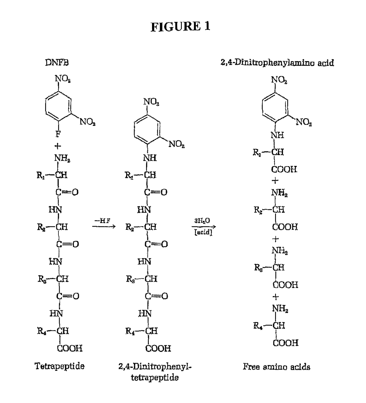 Identifying peptides at the single molecule level