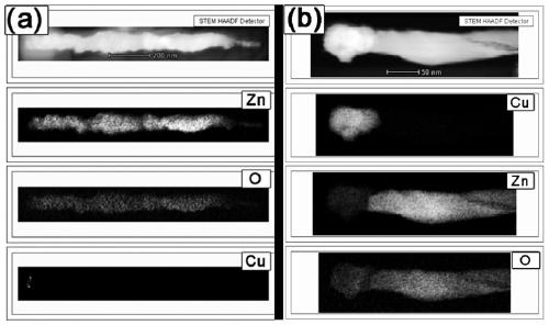 apical modification cu  <sub>2</sub> ZnO nanorod heterojunction of o and its preparation method and application