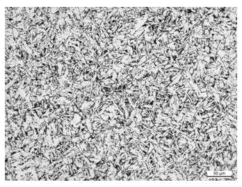 High-strength-toughness and high-temperature hot rolled steel plate and preparation method thereof