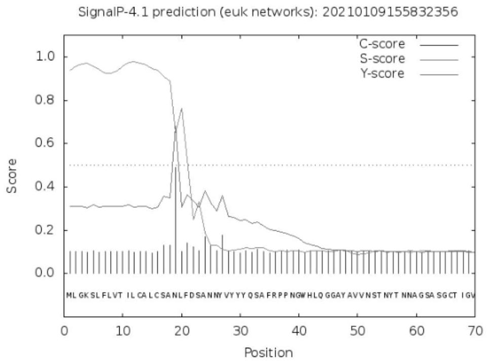 Recombinant Newcastle disease vector vaccine for expressing avian infectious bronchitis virus S protein, preparation method and application