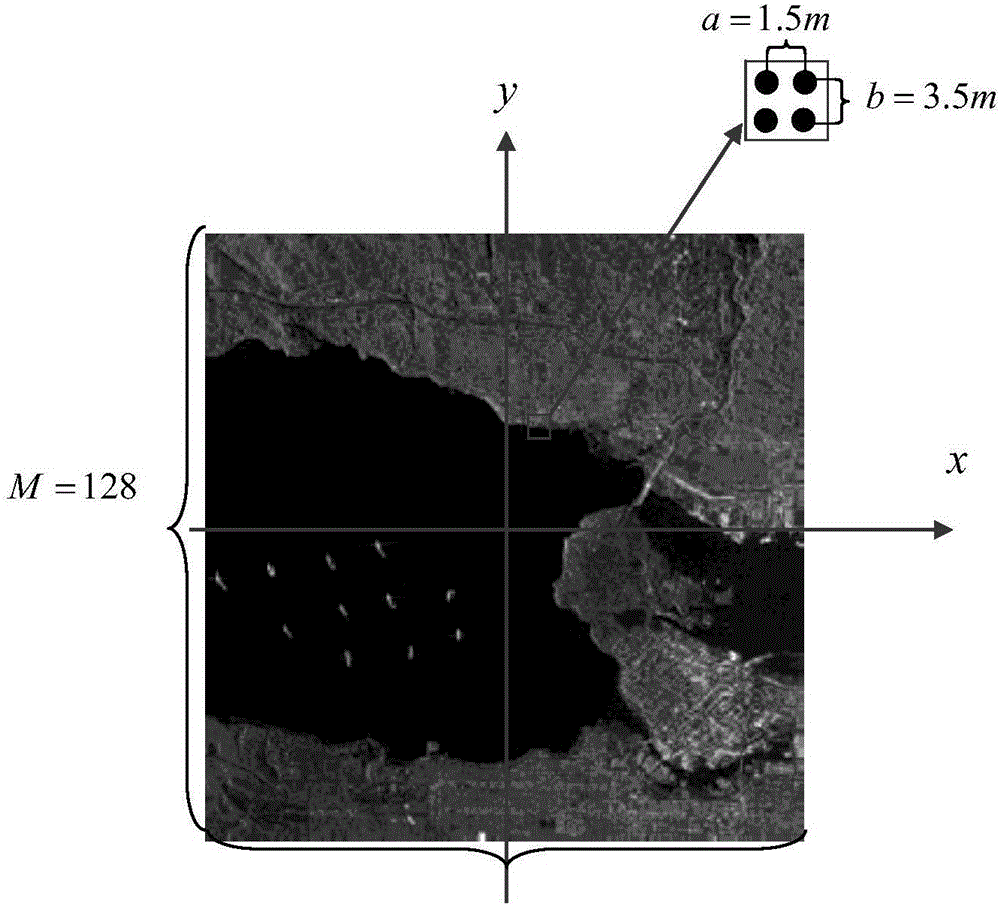 SAR echo rapid time domain generation method