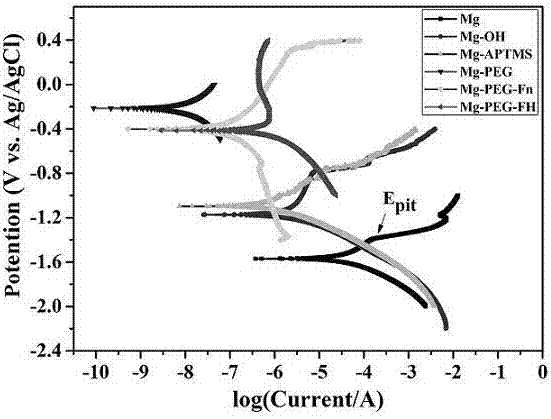 Surface modification method of biomaterial magnesium alloy