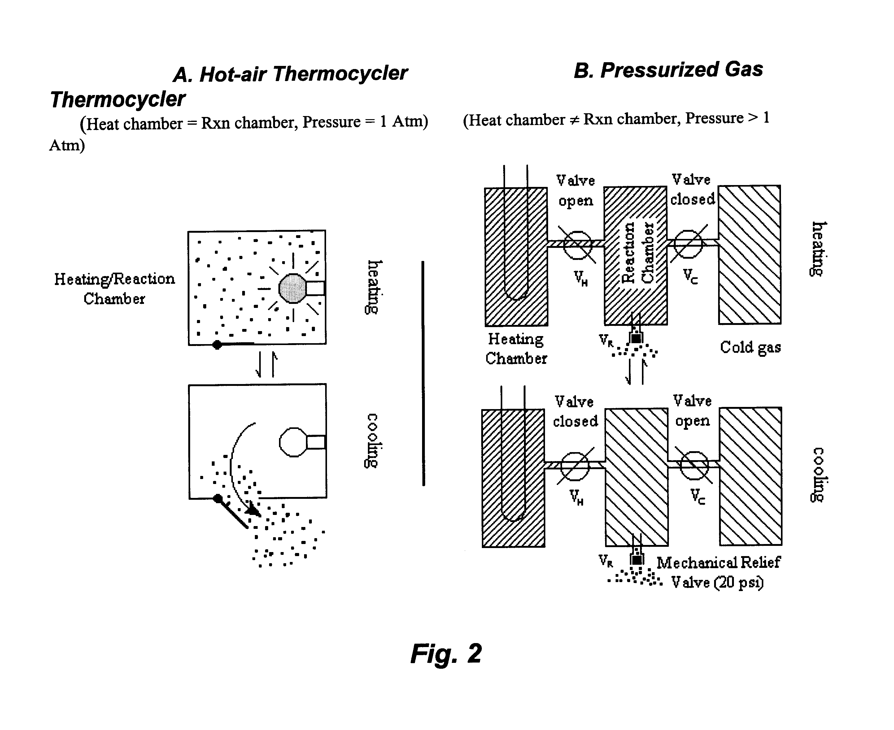 High speed process and apparatus for amplifying DNA