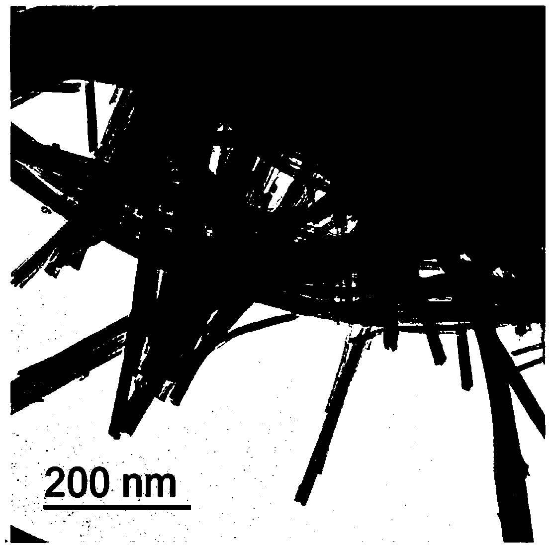 Method for preparing tantalum (Ta)-doped wolfram (W)-oxide adsorption nano-material