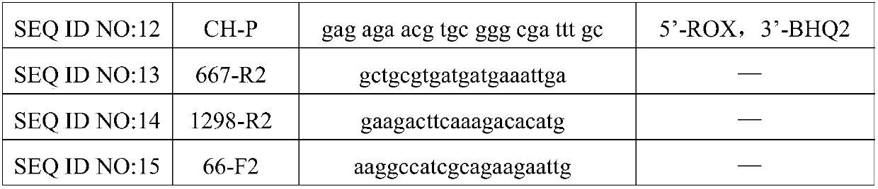 Kit for detecting folic acid related gene polymorphism and using method thereof