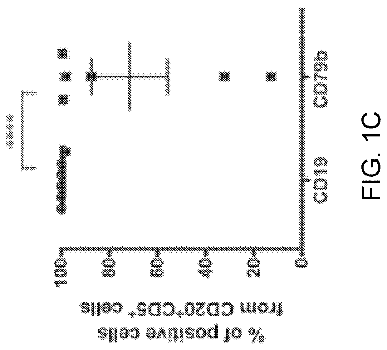 Chimeric antigen receptors targeting cd79b and cd19