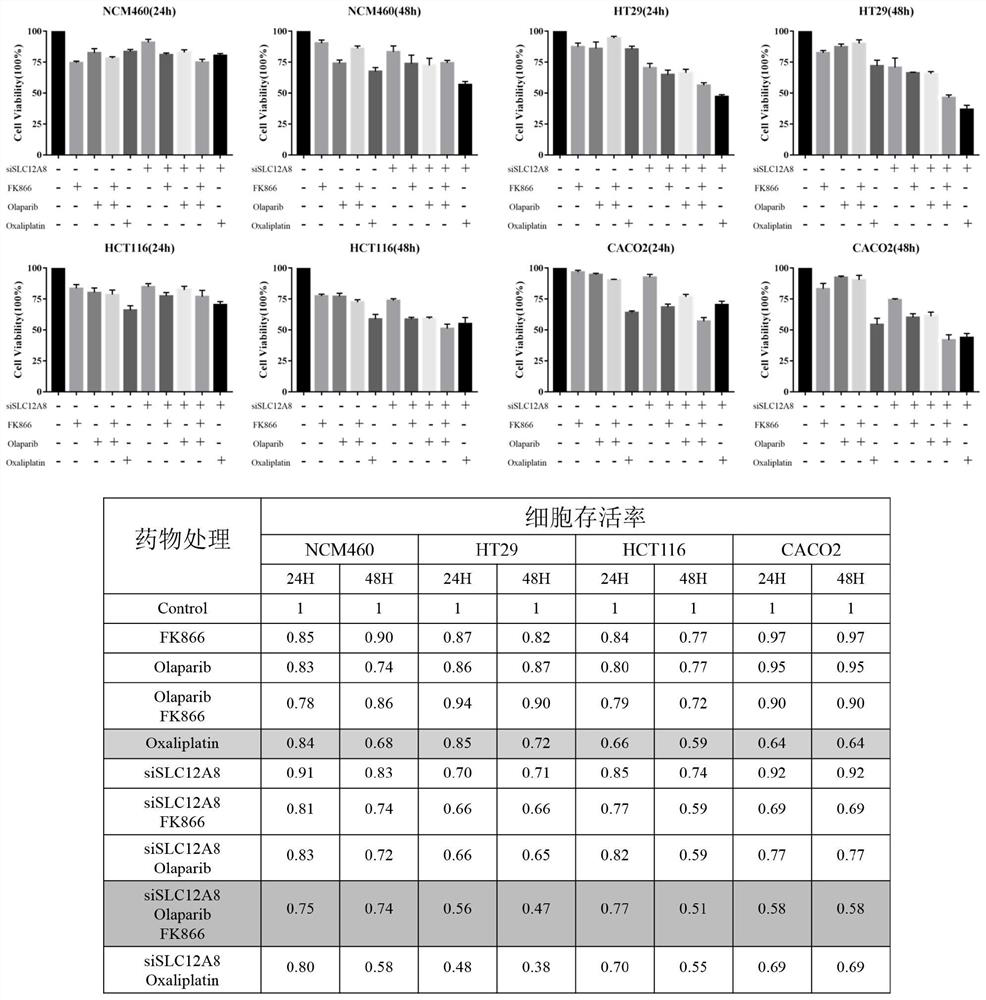 Novel method for inhibiting colon cancer cell activity by combining inhibitor with small interfering RNA