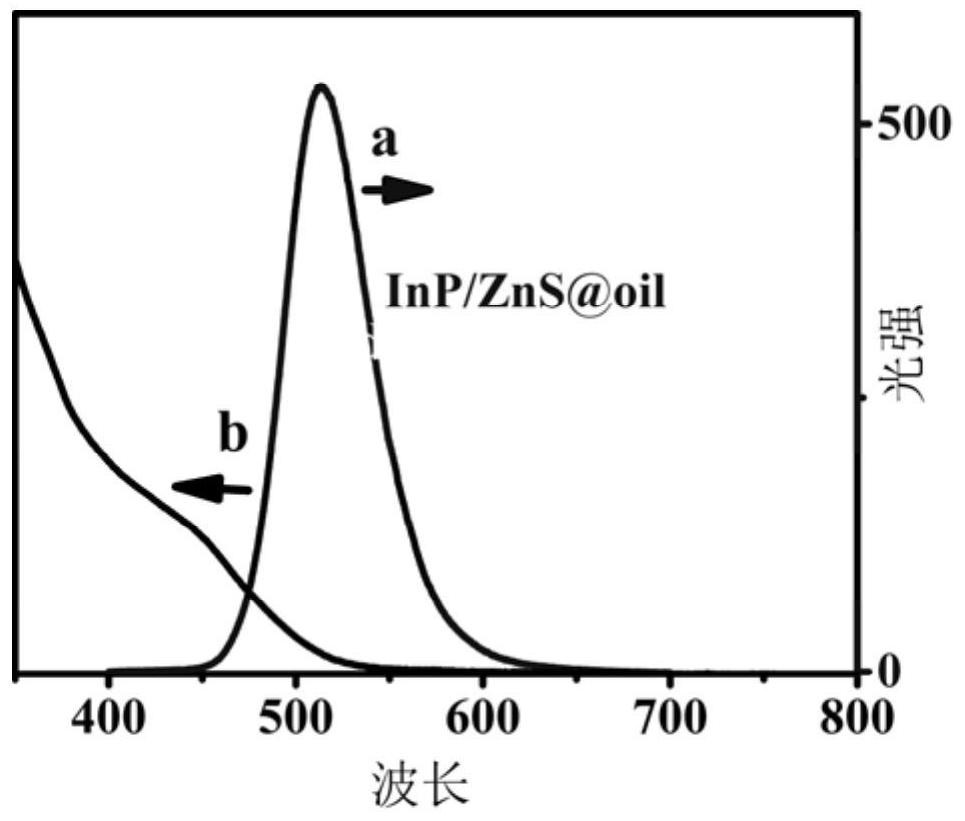 Preparation method of co-reactant-free electrochemical luminescence immunosensor