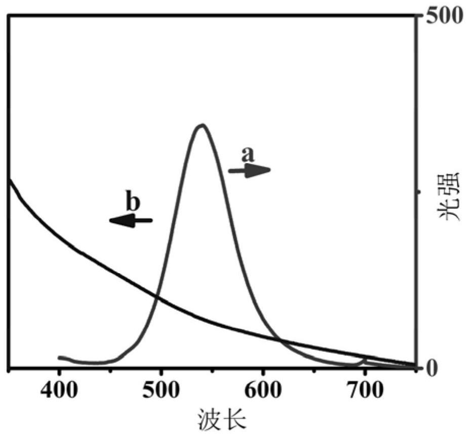 Preparation method of co-reactant-free electrochemical luminescence immunosensor