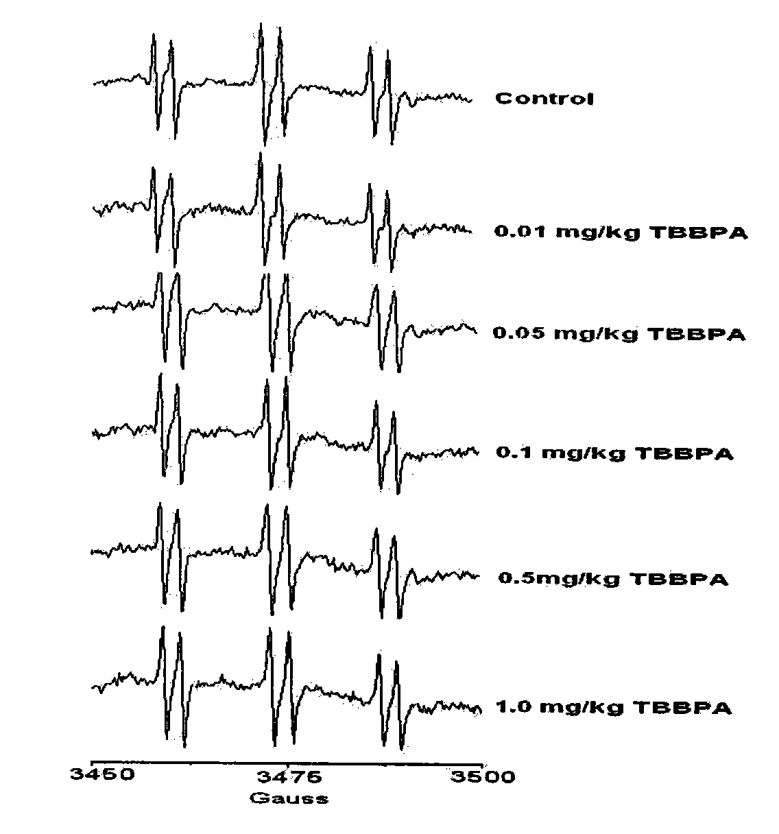 Method for detecting hydroxyl radicals in earthworm body