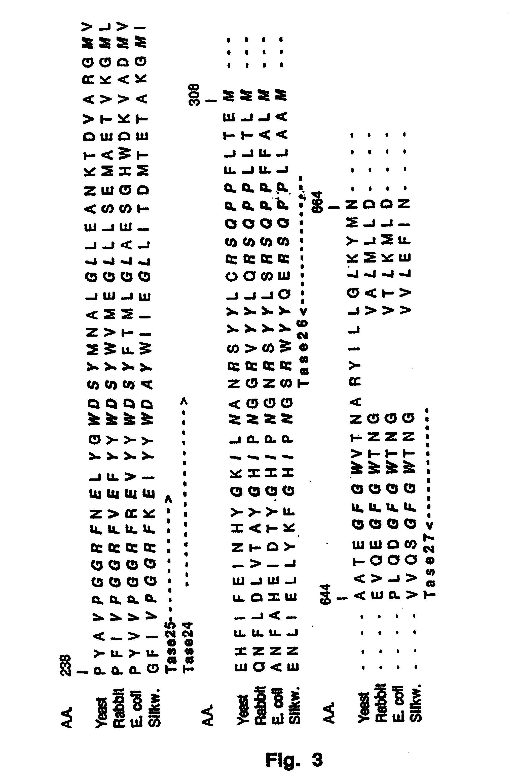 Enhanced accumulation of trehalose in plants