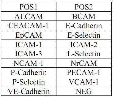 Antibody chip kit for detecting cell adhesion molecules