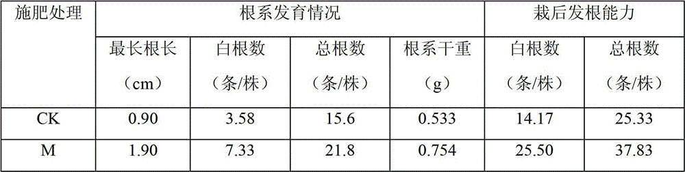 Preparation of compound rice dedicated bio-fertilizer based on arbuscular mycorrhizal fungi and application thereof