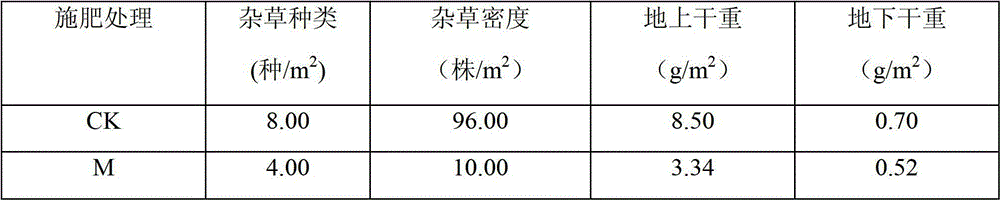 Preparation of compound rice dedicated bio-fertilizer based on arbuscular mycorrhizal fungi and application thereof