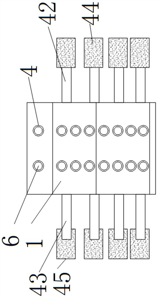 Protection device for orthopedic spine