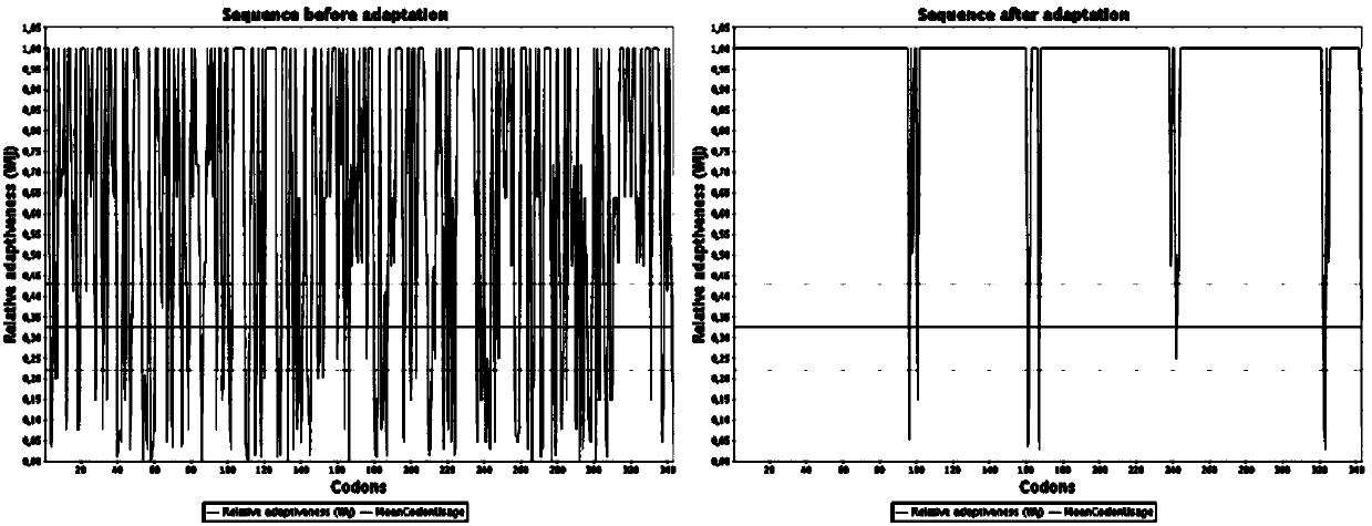 Engineering bacterium based on cellulose metabolic pathway key enzyme and implementation method of engineering bacterium based on cellulose metabolic pathway key enzyme