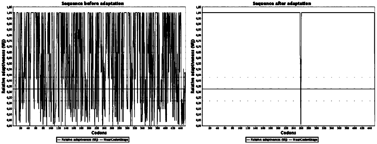 Engineering bacterium based on cellulose metabolic pathway key enzyme and implementation method of engineering bacterium based on cellulose metabolic pathway key enzyme