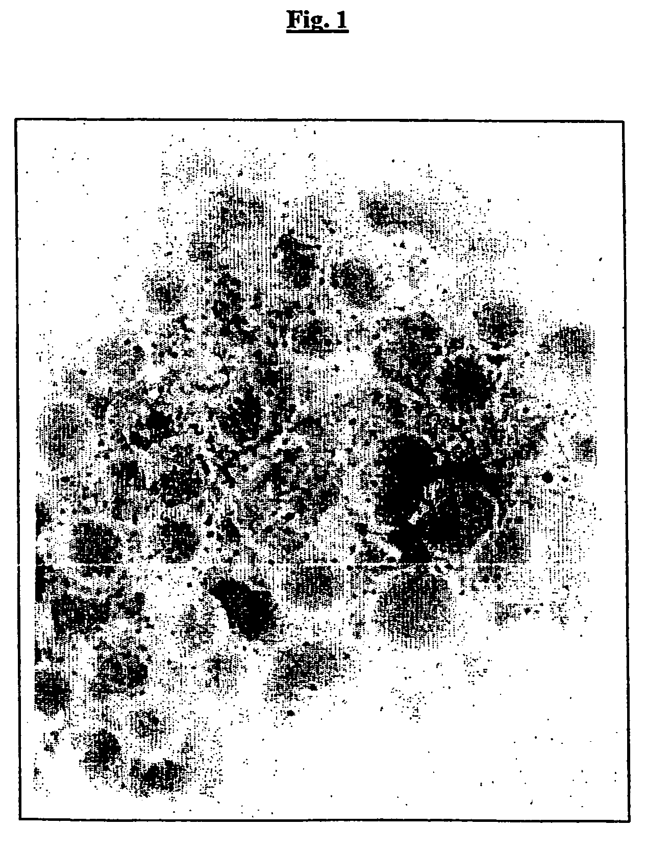 Outer membrane vesicles from gram negative bacteria and use as a vaccine