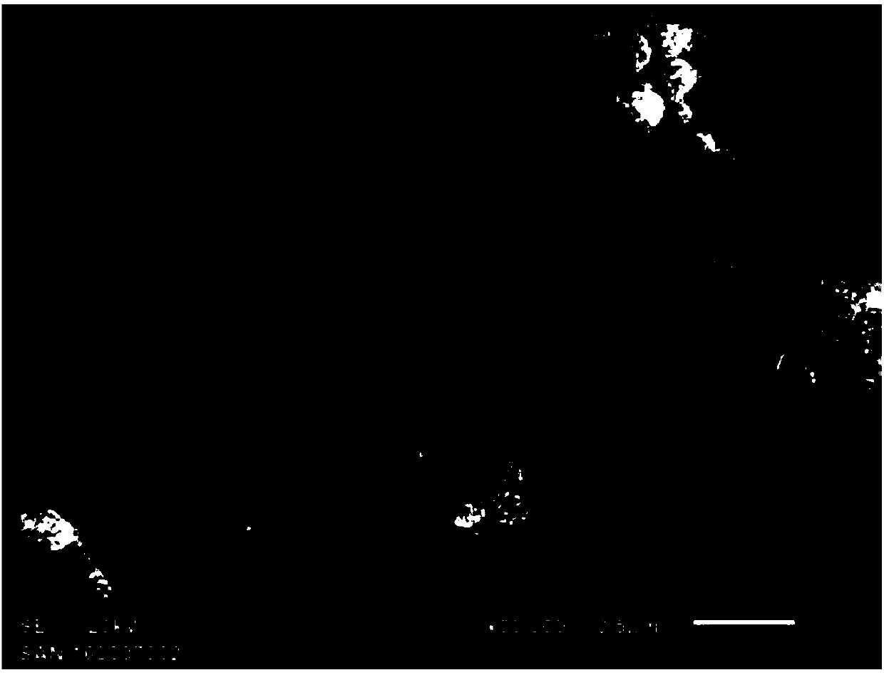 Aluminum nitride powder and preparation method thereof