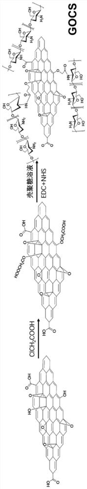 A kind of magnesium alloy material with heparin on the surface and its preparation method and application