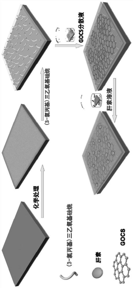 A kind of magnesium alloy material with heparin on the surface and its preparation method and application