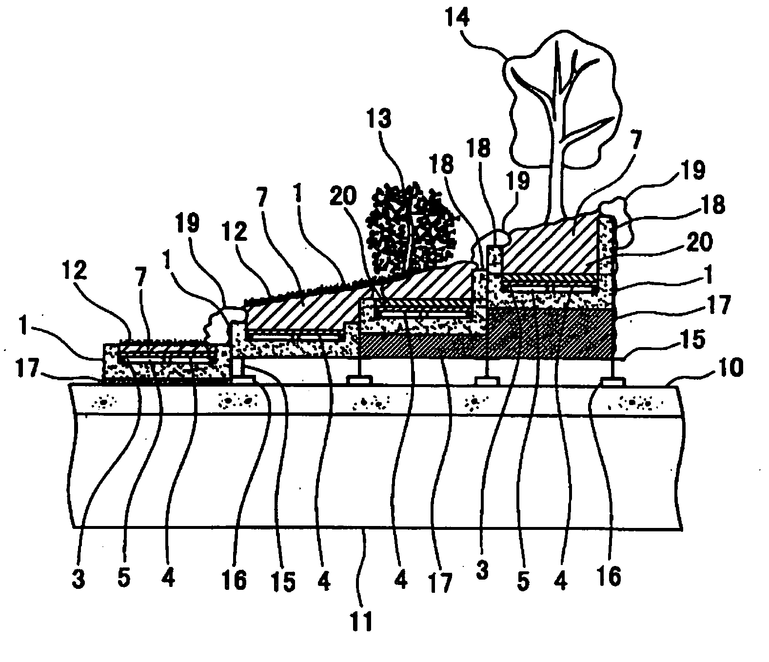 Greening system