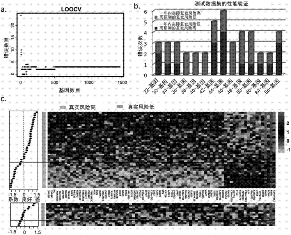 Gene expression classifier capable of predicting lung cancer patient prognosis and construction method of gene expression classifier