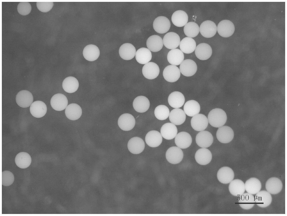 Glue solution for internal gelation process as well as preparation method and application thereof