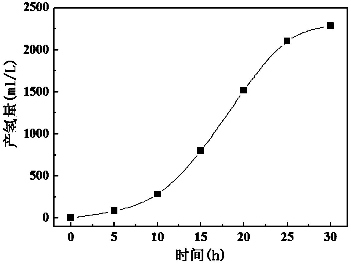 Method for generating energy from hydrogen production bacteria and oily microalgae in stair-coupling mode