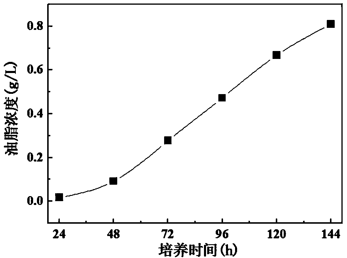 Method for generating energy from hydrogen production bacteria and oily microalgae in stair-coupling mode