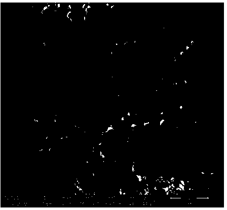 Preparation method of natural mineral-loaded nanometer fluorine removal agent