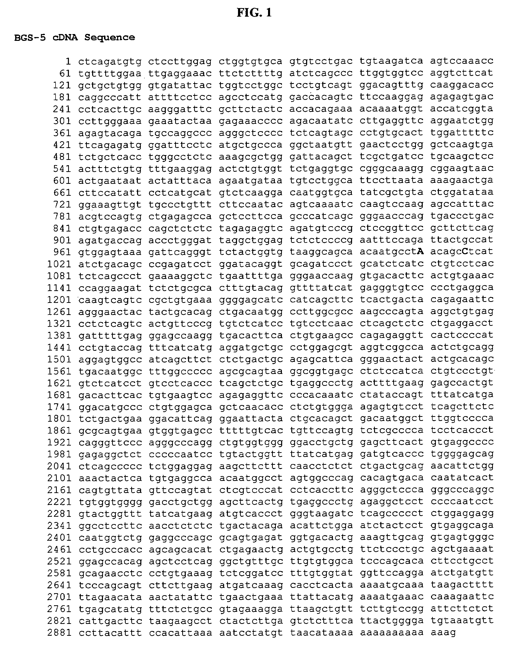 Methods for diagnosing schizophrenia by detecting a polymorphism in the KalphaM1 gene