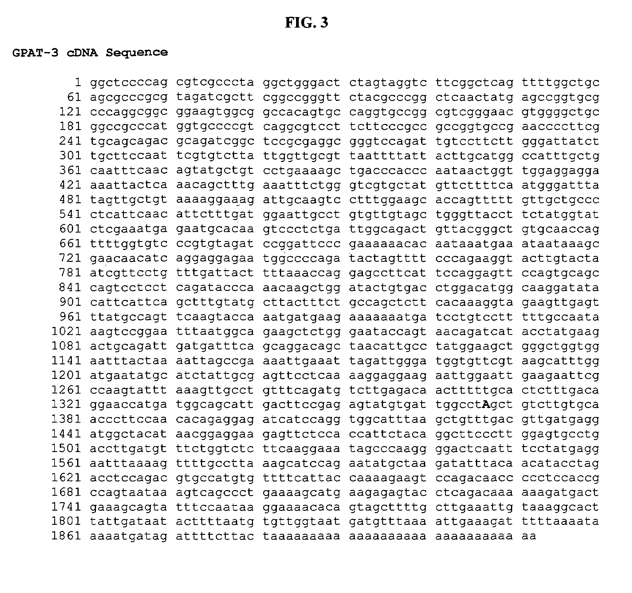 Methods for diagnosing schizophrenia by detecting a polymorphism in the KalphaM1 gene