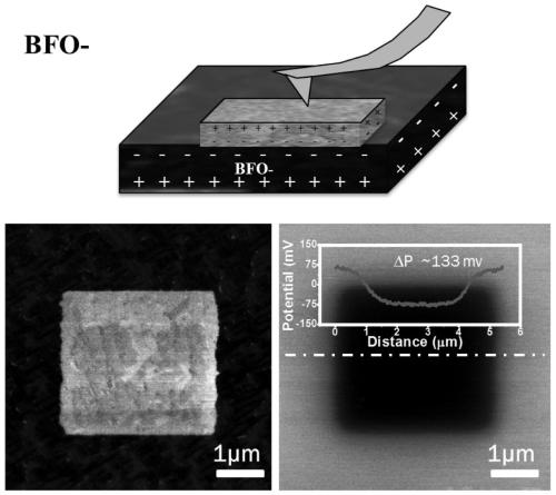 A material for promoting osteogenic differentiation of mesenchymal stem cells and its preparation method and application