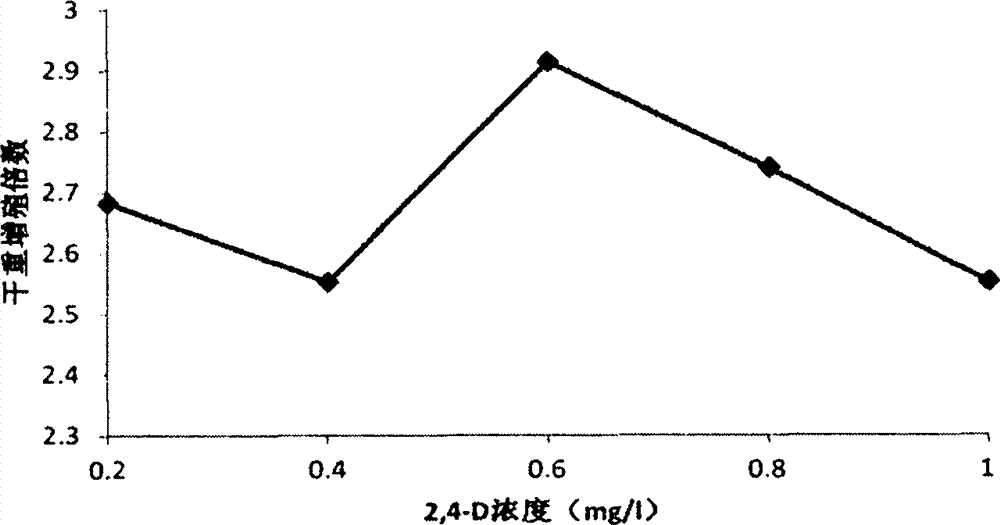 Method for establishing ecdysone-enriched ajuga multiflora bunge suspension cell line