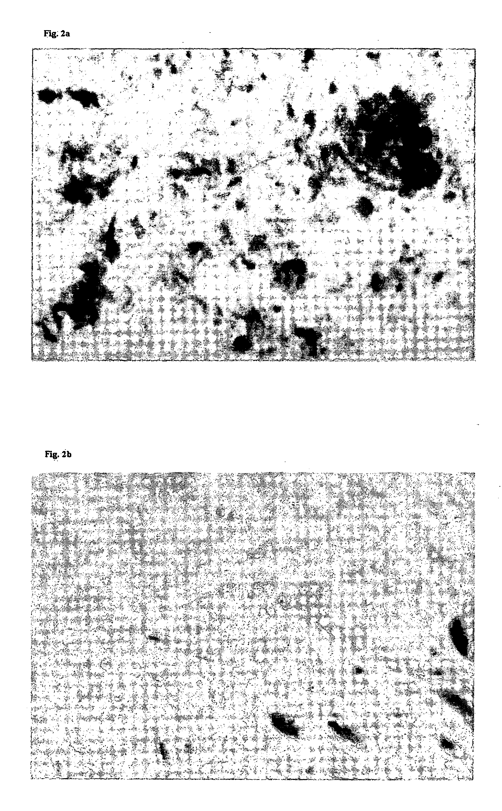 Agent for reduction of scar formation by using wound alkalinization