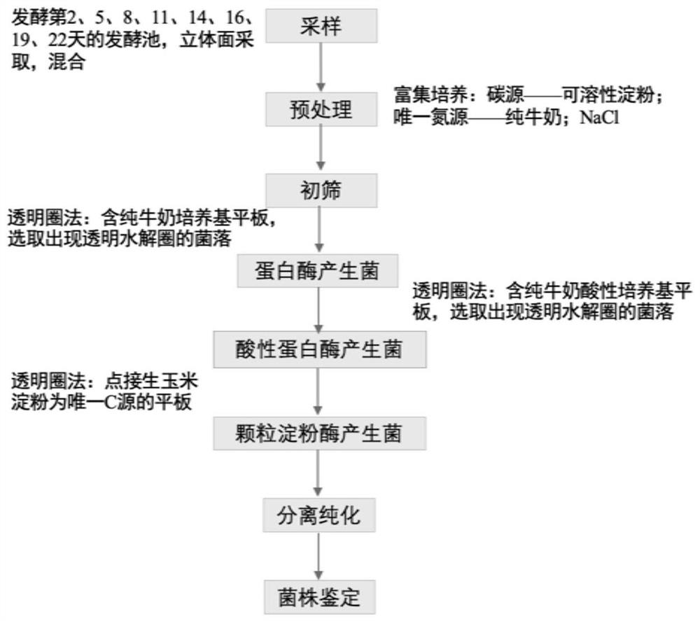 ZHONGCUN bacillus QH-20011 with low pH tolerance and application of ZHONGCUN bacillus QH-20011