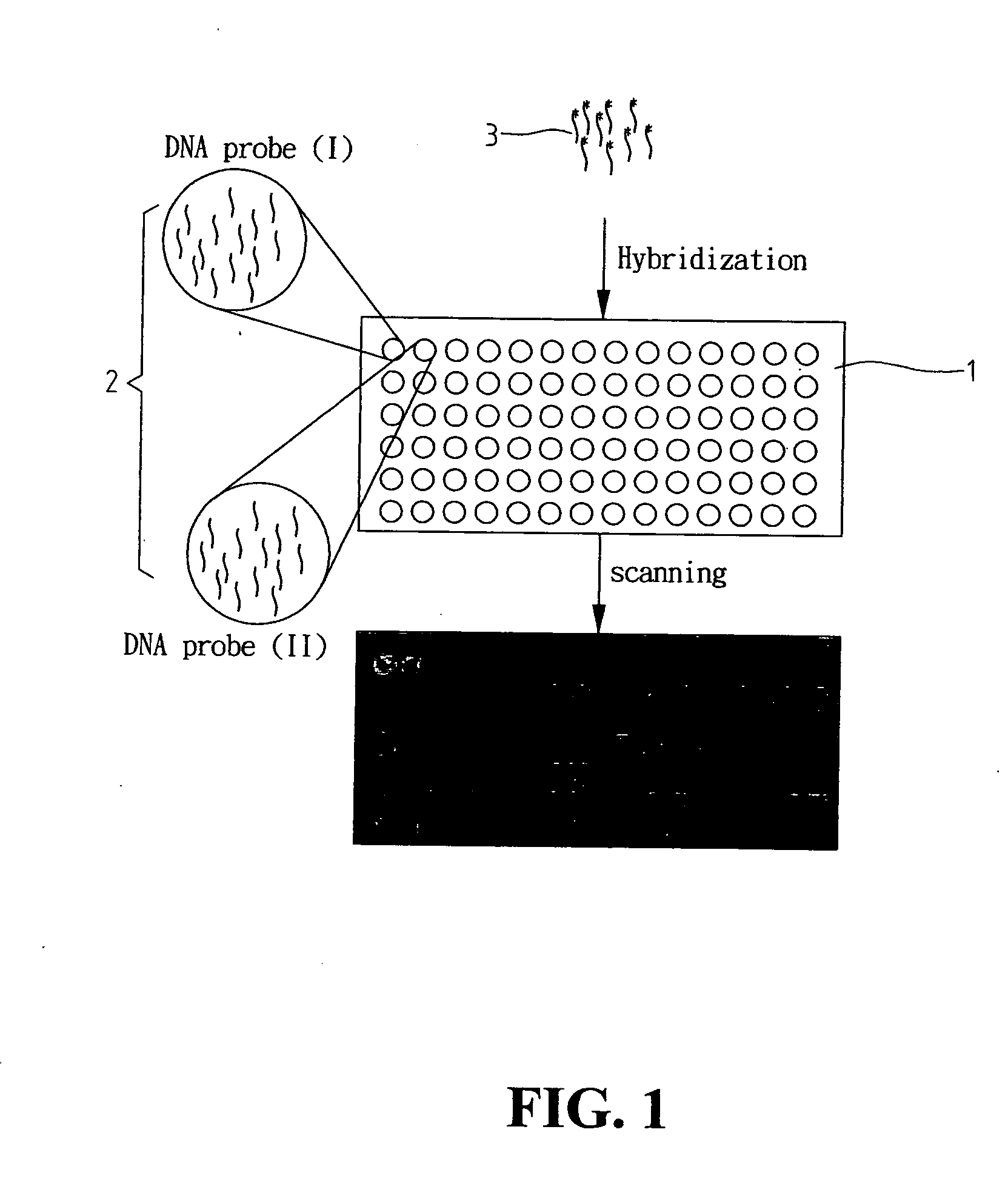 CCD-based biochip reader