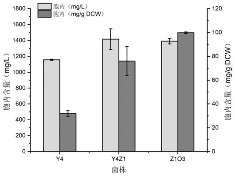 Construction and application of saccharomyces cerevisiae strain for extracellular transport of vitamin D3 precursor squalene