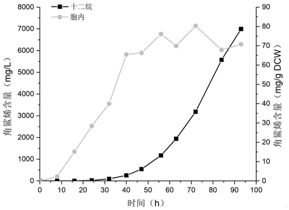 Construction and application of saccharomyces cerevisiae strain for extracellular transport of vitamin D3 precursor squalene