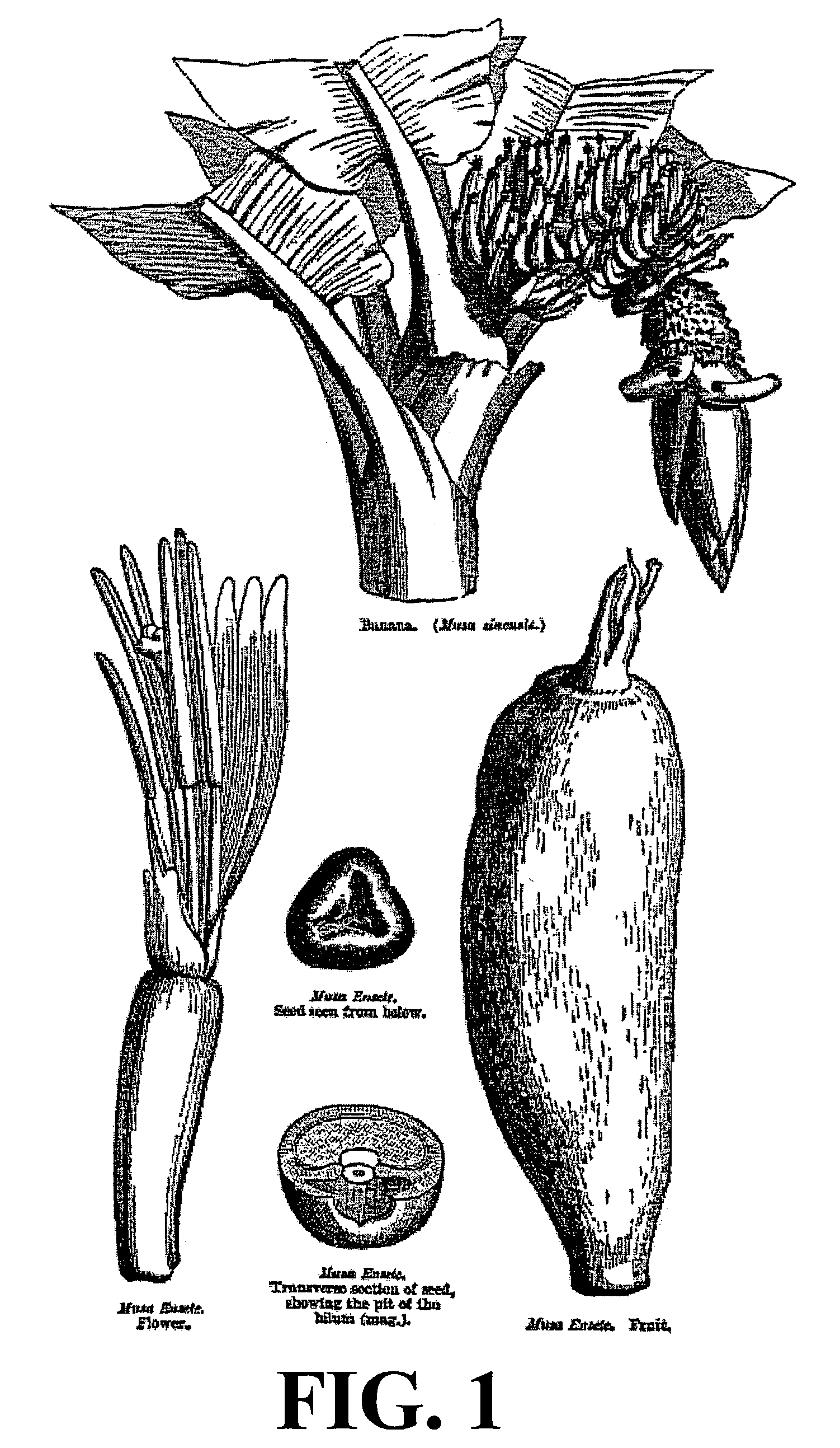 Fluid system additive