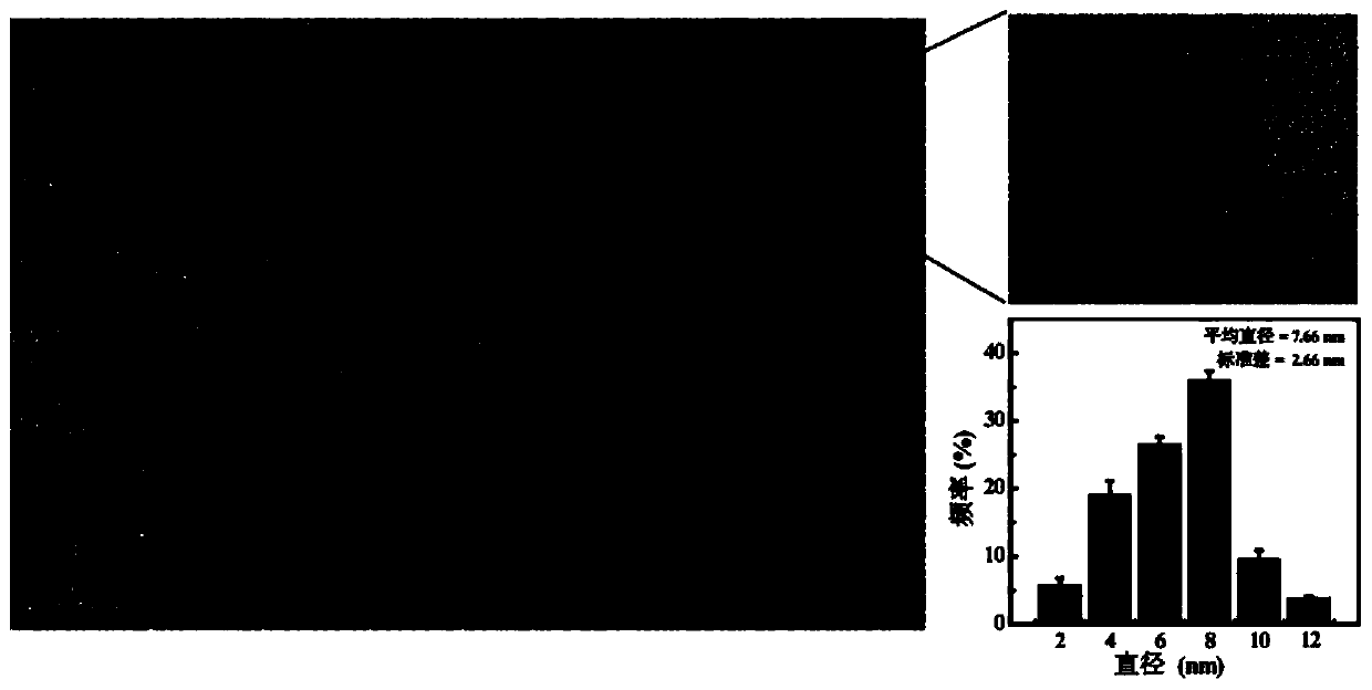 UTMD-based dual drug-loading nano platform and preparation method and application thereof