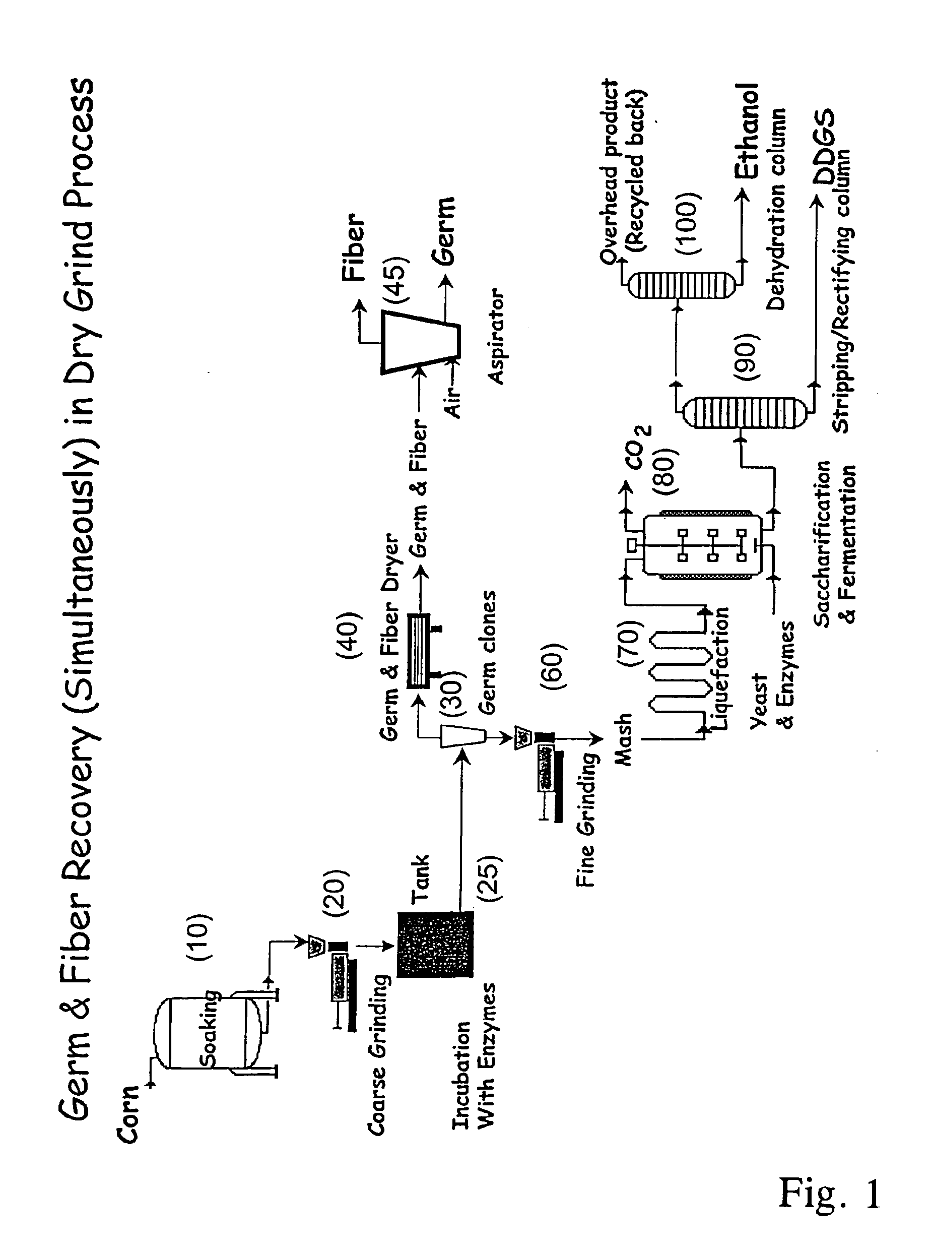 Processes for recovery of corn germ and optionally corn coarse fiber (pericarp)