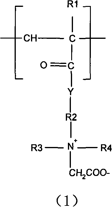 Amphoteric hair caring-fixing composite