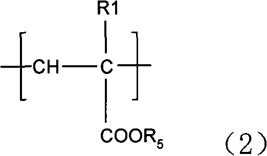 Amphoteric hair caring-fixing composite